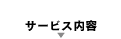 �T�[�r�X���e